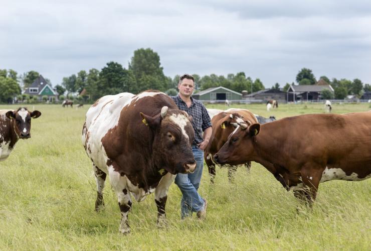Marnix in de wei