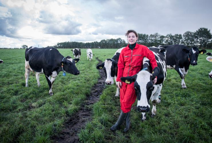 Boerin Annemiek tussen de koeien