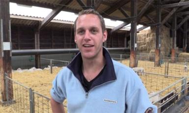 promo boer 10