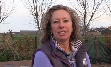 video kaas